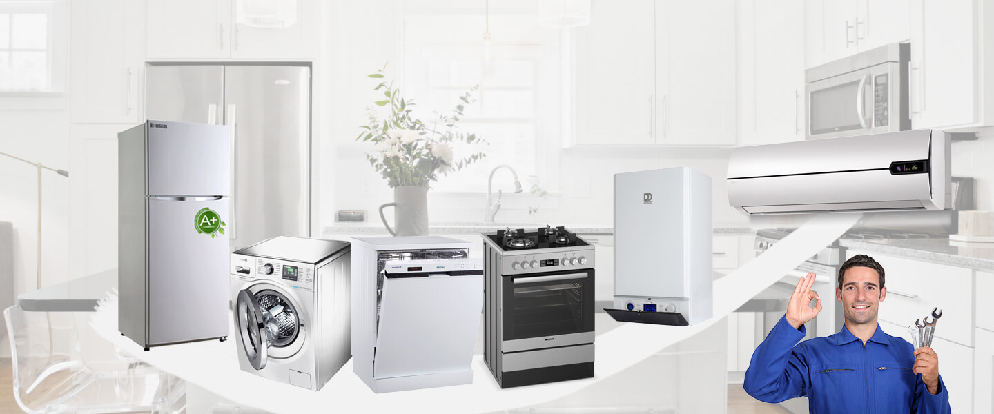 Pertek Electrolux Servisi
